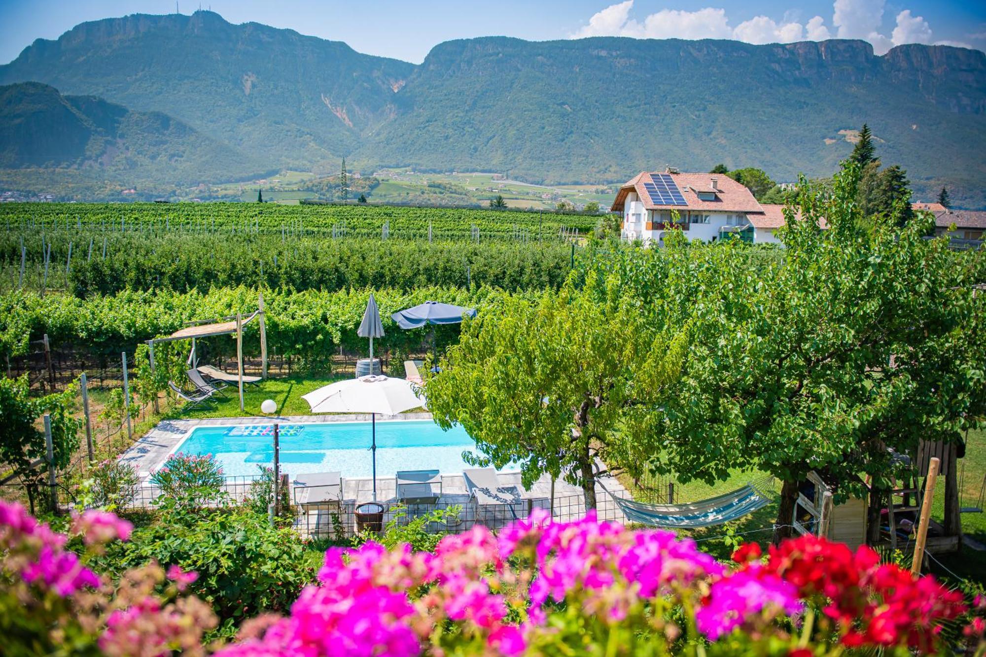 Lochererhof Apartment Appiano Sulla Strada Del Vino Luaran gambar