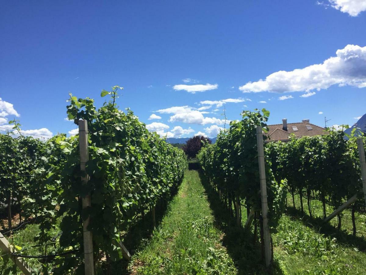 Lochererhof Apartment Appiano Sulla Strada Del Vino Luaran gambar