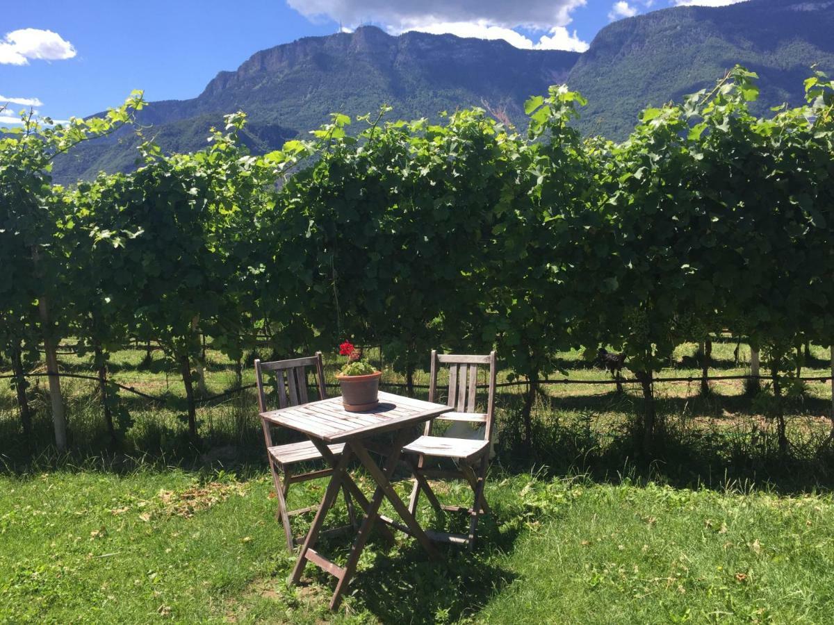 Lochererhof Apartment Appiano Sulla Strada Del Vino Luaran gambar