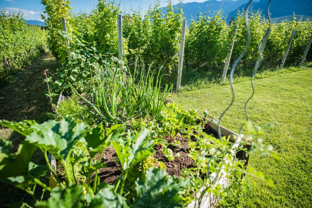 Lochererhof Apartment Appiano Sulla Strada Del Vino Luaran gambar